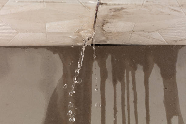 Professional Flood Damage Cleanup technician working in Paradise, UT